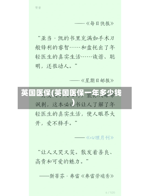 英国医保(英国医保一年多少钱)-第2张图片