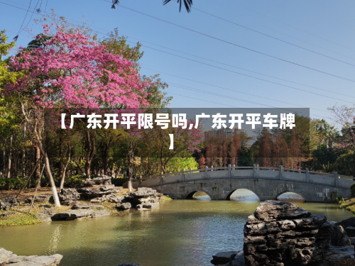 【广东开平限号吗,广东开平车牌】-第2张图片