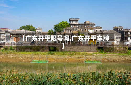 【广东开平限号吗,广东开平车牌】
