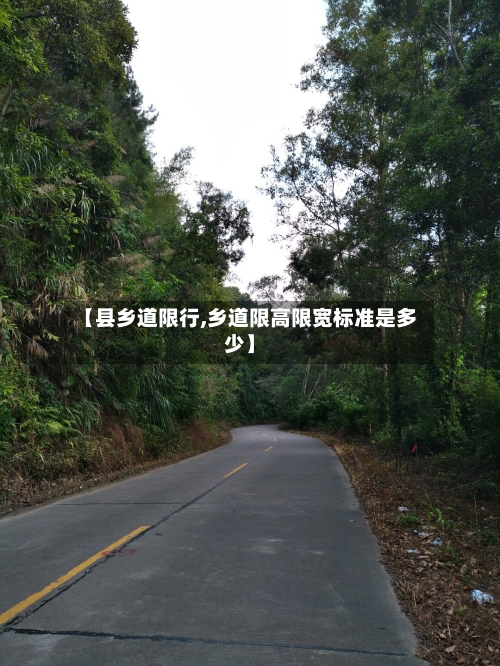 【县乡道限行,乡道限高限宽标准是多少】