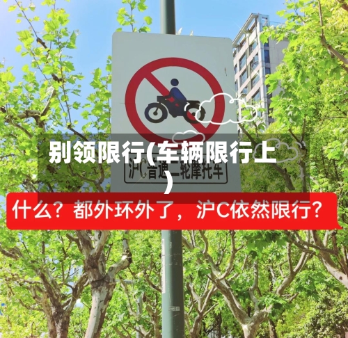 别领限行(车辆限行上)