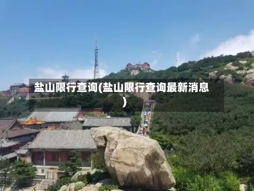 盐山限行查询(盐山限行查询最新消息)