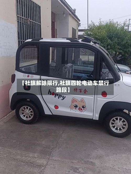 【社旗解除限行,社旗四轮电动车禁行路段】-第2张图片
