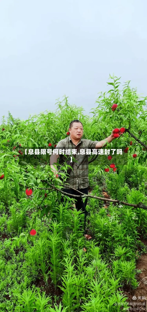 【息县限号何时结束,息县高速封了吗】