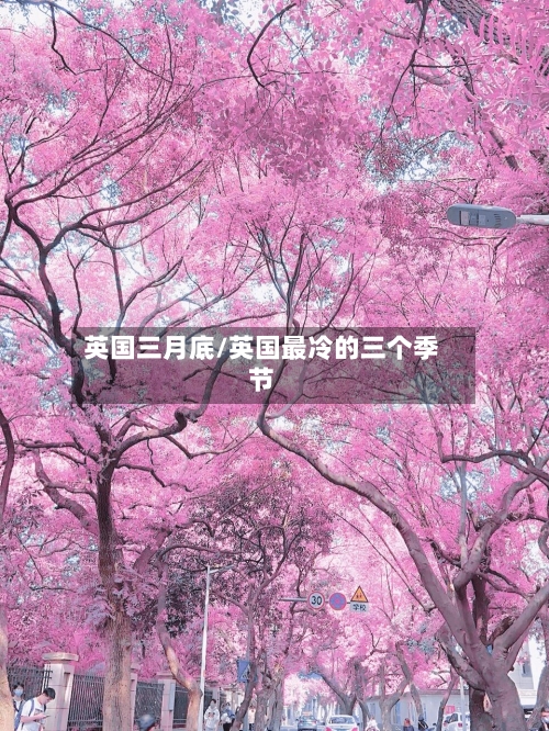 英国三月底/英国最冷的三个季节-第2张图片