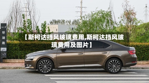 【斯柯达挡风玻璃费用,斯柯达挡风玻璃费用及图片】-第2张图片