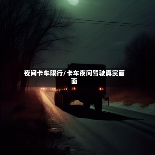 夜间卡车限行/卡车夜间驾驶真实画面-第3张图片