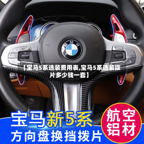 【宝马5系选装费用表,宝马5系选装拨片多少钱一套】