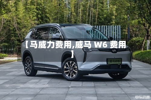 【马威力费用,威马 W6 费用】-第3张图片