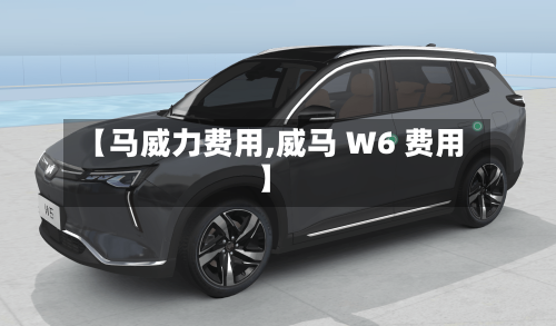 【马威力费用,威马 W6 费用】
