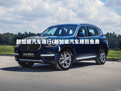 新加坡汽车限行(新加坡汽车牌照免费)-第2张图片
