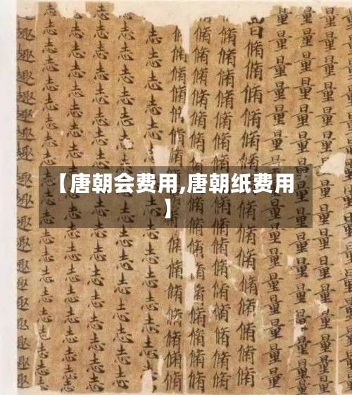 【唐朝会费用,唐朝纸费用】