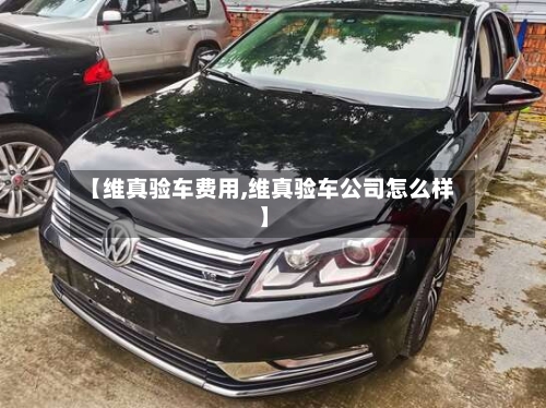 【维真验车费用,维真验车公司怎么样】-第2张图片