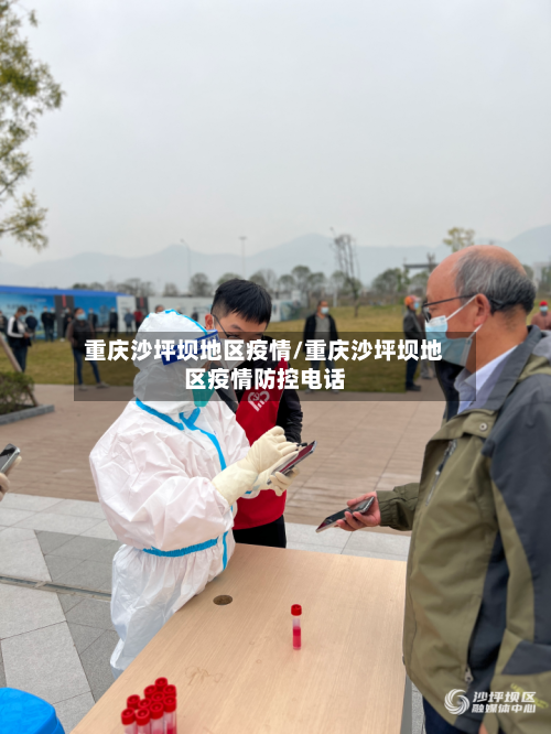 重庆沙坪坝地区疫情/重庆沙坪坝地区疫情防控电话