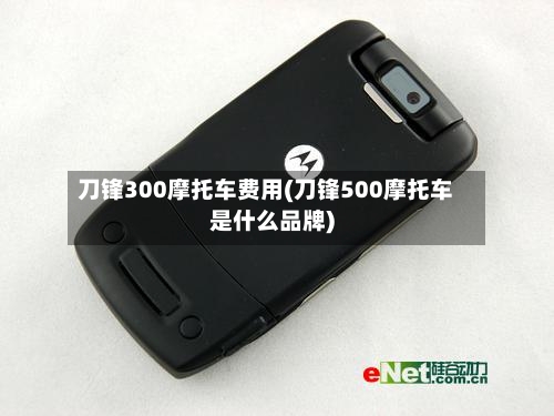 刀锋300摩托车费用(刀锋500摩托车是什么品牌)-第3张图片