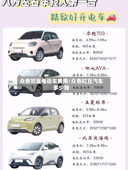 众泰知豆电动车费用/众泰知豆汽车多少钱-第2张图片