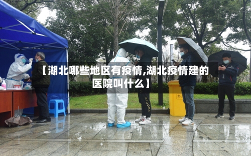 【湖北哪些地区有疫情,湖北疫情建的医院叫什么】