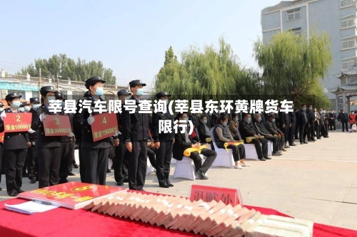莘县汽车限号查询(莘县东环黄牌货车限行)