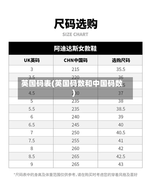 英国码表(英国码数和中国码数)-第3张图片