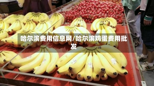 哈尔滨费用信息网/哈尔滨鸡蛋费用批发-第3张图片