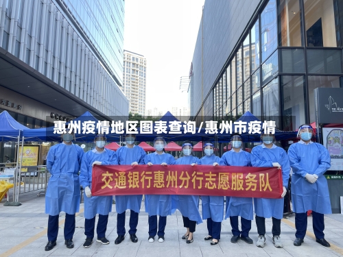 惠州疫情地区图表查询/惠州市疫情