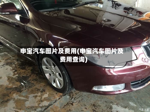 申宝汽车图片及费用(申宝汽车图片及费用查询)-第2张图片