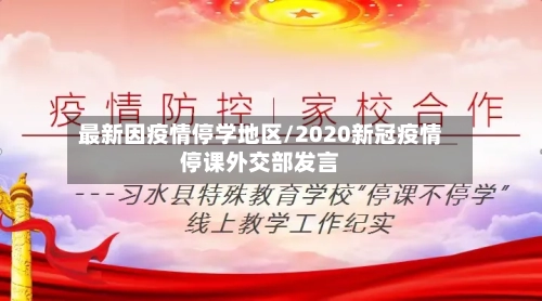 最新因疫情停学地区/2020新冠疫情停课外交部发言-第2张图片