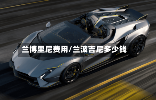 兰博里尼费用/兰波吉尼多少钱-第2张图片