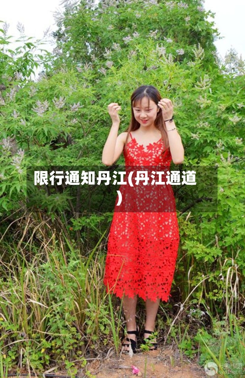 限行通知丹江(丹江通道)-第3张图片