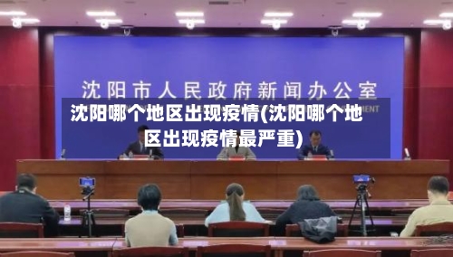 沈阳哪个地区出现疫情(沈阳哪个地区出现疫情最严重)