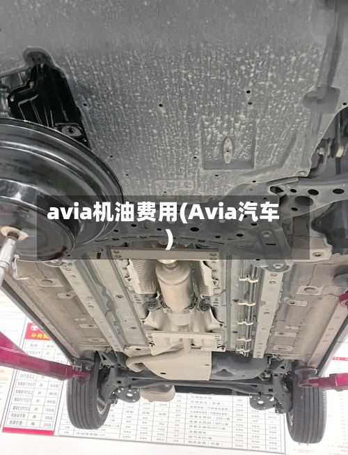 avia机油费用(Avia汽车)