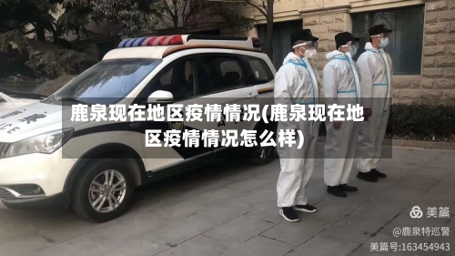 鹿泉现在地区疫情情况(鹿泉现在地区疫情情况怎么样)