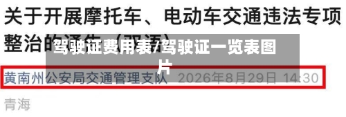 驾驶证费用表/驾驶证一览表图片-第2张图片