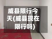 威县限行今天(威县现在限行吗)