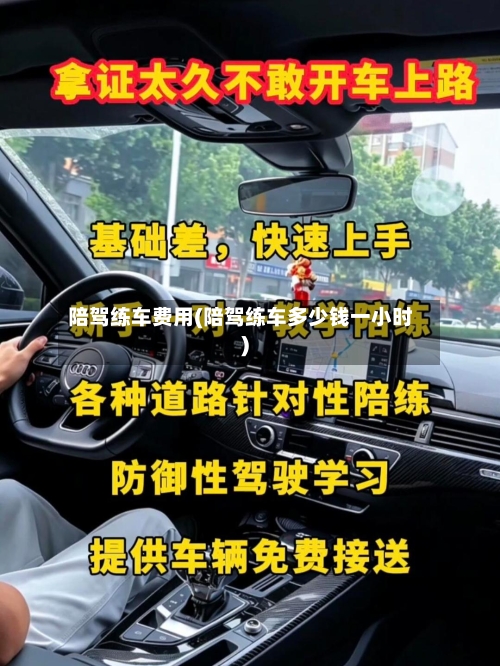 陪驾练车费用(陪驾练车多少钱一小时)