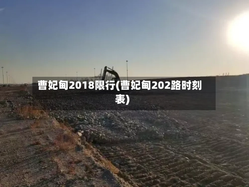 曹妃甸2018限行(曹妃甸202路时刻表)