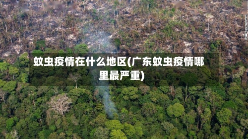 蚊虫疫情在什么地区(广东蚊虫疫情哪里最严重)-第2张图片