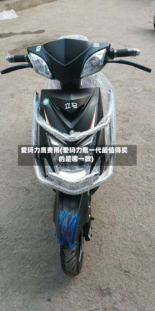 爱玛力鹰费用(爱玛力鹰一代最值得买的是哪一款)-第3张图片