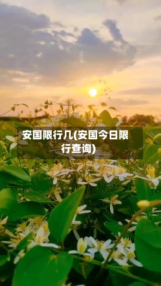 安国限行几(安国今日限行查询)-第2张图片