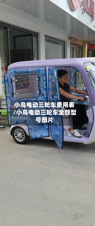 小鸟电动三轮车费用表/小鸟电动三轮车全部型号图片-第2张图片