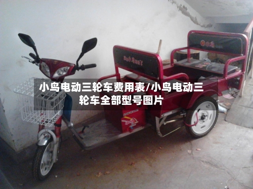 小鸟电动三轮车费用表/小鸟电动三轮车全部型号图片