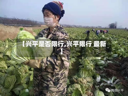 【兴平是否限行,兴平限行 最新】-第2张图片