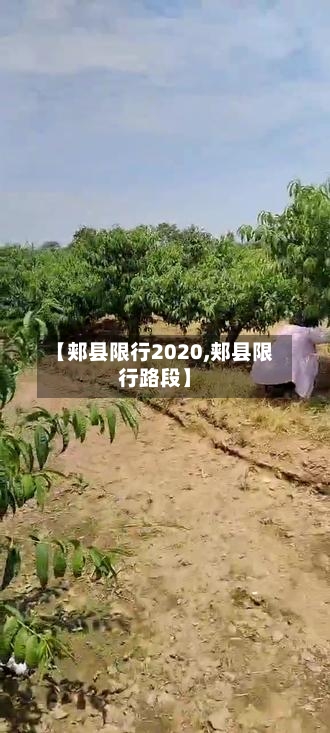 【郏县限行2020,郏县限行路段】