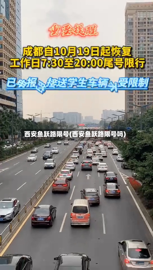 西安鱼跃路限号(西安鱼跃路限号吗)-第3张图片