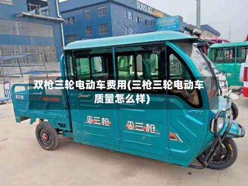 双枪三轮电动车费用(三枪三轮电动车质量怎么样)-第2张图片