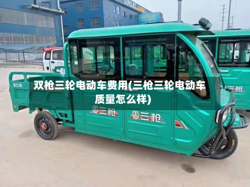 双枪三轮电动车费用(三枪三轮电动车质量怎么样)