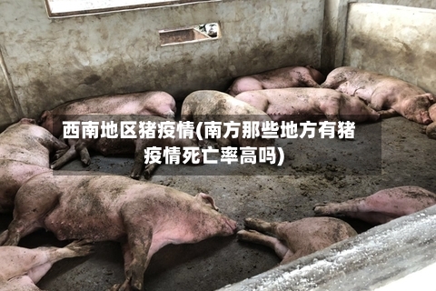 西南地区猪疫情(南方那些地方有猪疫情死亡率高吗)-第2张图片