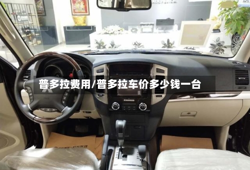 普多拉费用/普多拉车价多少钱一台
