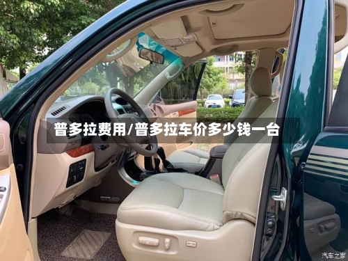 普多拉费用/普多拉车价多少钱一台-第2张图片