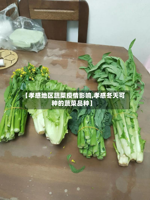 【孝感地区蔬菜疫情影响,孝感冬天可种的蔬菜品种】
